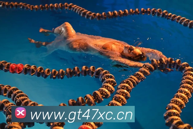 云开体app官网登录入口APP 体育赛事宣传图